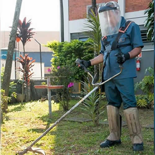 Projeto 6